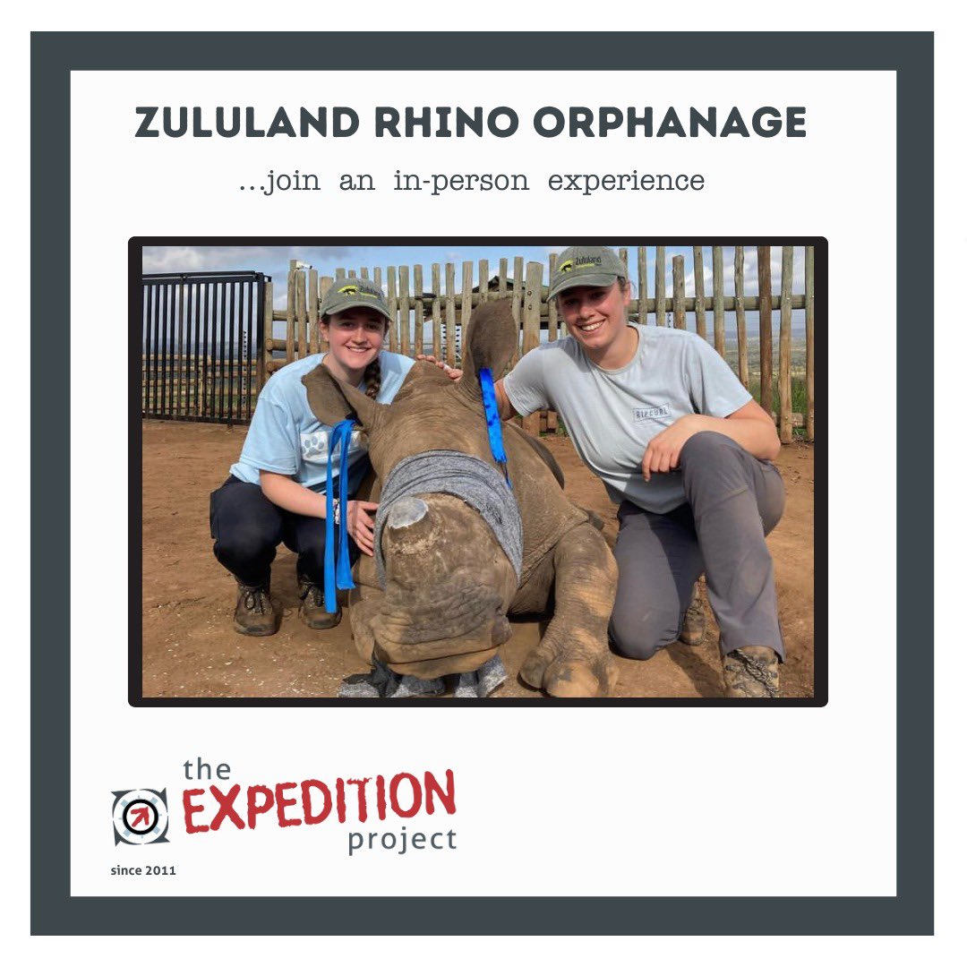 Want to get hands on with #rhinoconservation? Join @zululandrhino for 2+ weeks. Apply here theexpeditionproject.com/experiences/zu…