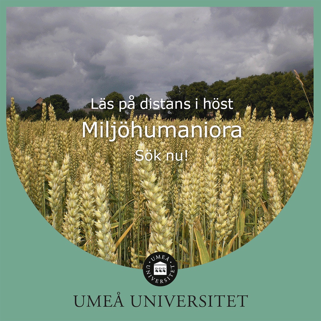 Humaniora, Umeå univ (@humanioraumu) on Twitter photo Lär dig mer om människans relation till, och tankar om, miljön, skogen och naturen. <a href="/umeauniversitet/">Umeå universitet</a> ger 2 kurser på distans: Skogens idéhistoria och Miljöhumaniora - Humanistiska perspektiv på människans plats(er) i miljön. Senast 15 april! #utbildning tinyurl.se/miljohumaniora Lär dig mer om människans relation till, och tankar om, miljön, skogen och naturen. <a href="/umeauniversitet/">Umeå universitet</a> ger 2 kurser på distans: Skogens idéhistoria och Miljöhumaniora - Humanistiska perspektiv på människans plats(er) i miljön. Senast 15 april! #utbildning tinyurl.se/miljohumaniora