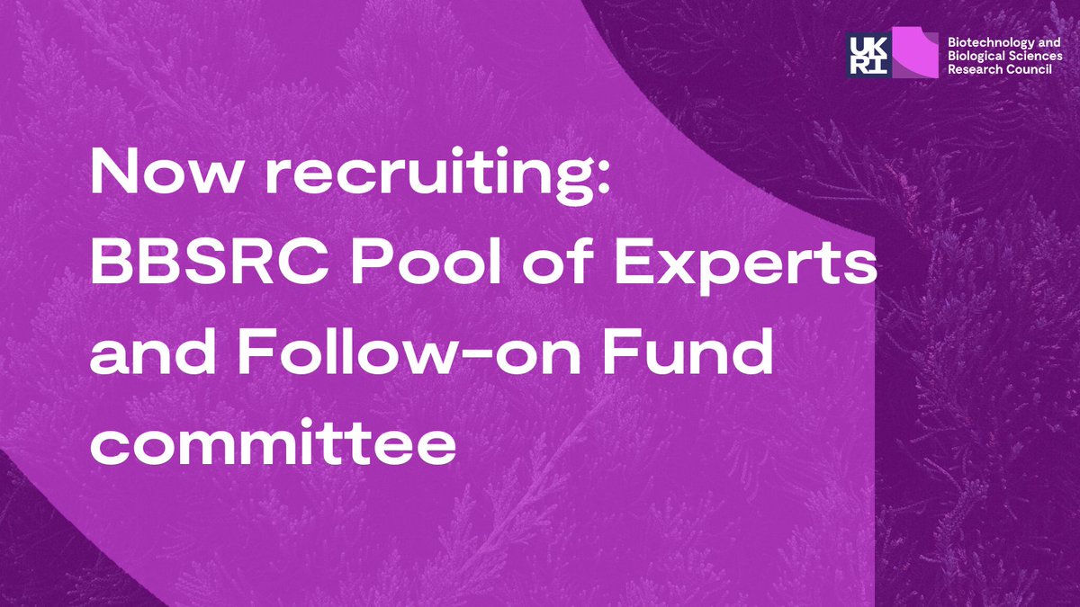 Ever wanted to know what makes a winning BBSRC grant? Come behind the scenes of peer review: join our Pool of Experts or Follow-on Fund Committee

Find out more and apply orlo.uk/kqnER /1