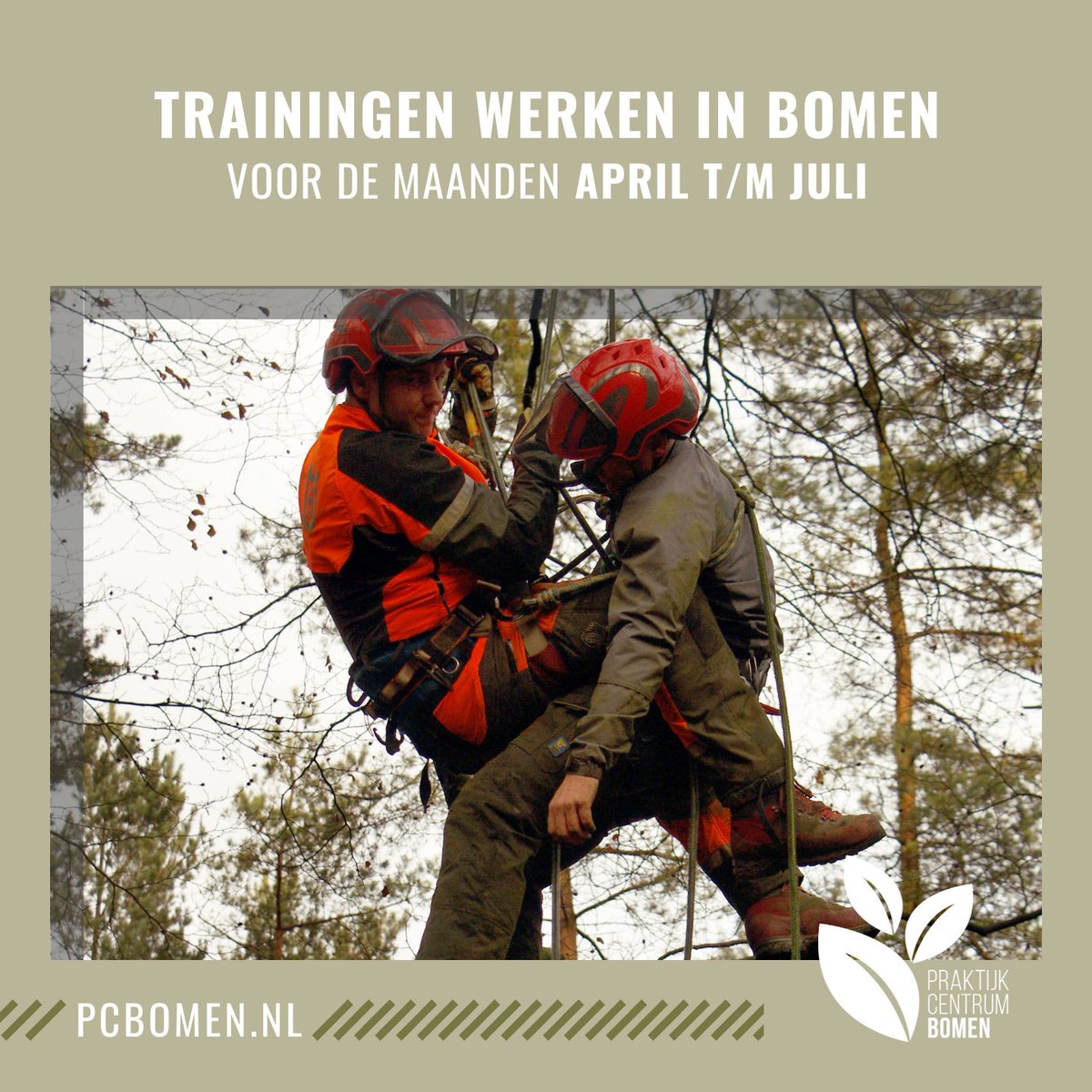 In de maanden april tot en met juli kan je weer verschillende trainingen voor het werken in bomen volgen. 𝘔𝘦𝘦𝘳 𝘪𝘯𝘧𝘰𝘳𝘮𝘢𝘵𝘪𝘦 𝘷𝘪𝘯𝘥 𝘫𝘦 𝘰𝘱 𝘰𝘯𝘻𝘦 𝘸𝘦𝘣𝘴𝘪𝘵𝘦: bit.ly/2TSknUN 🌳