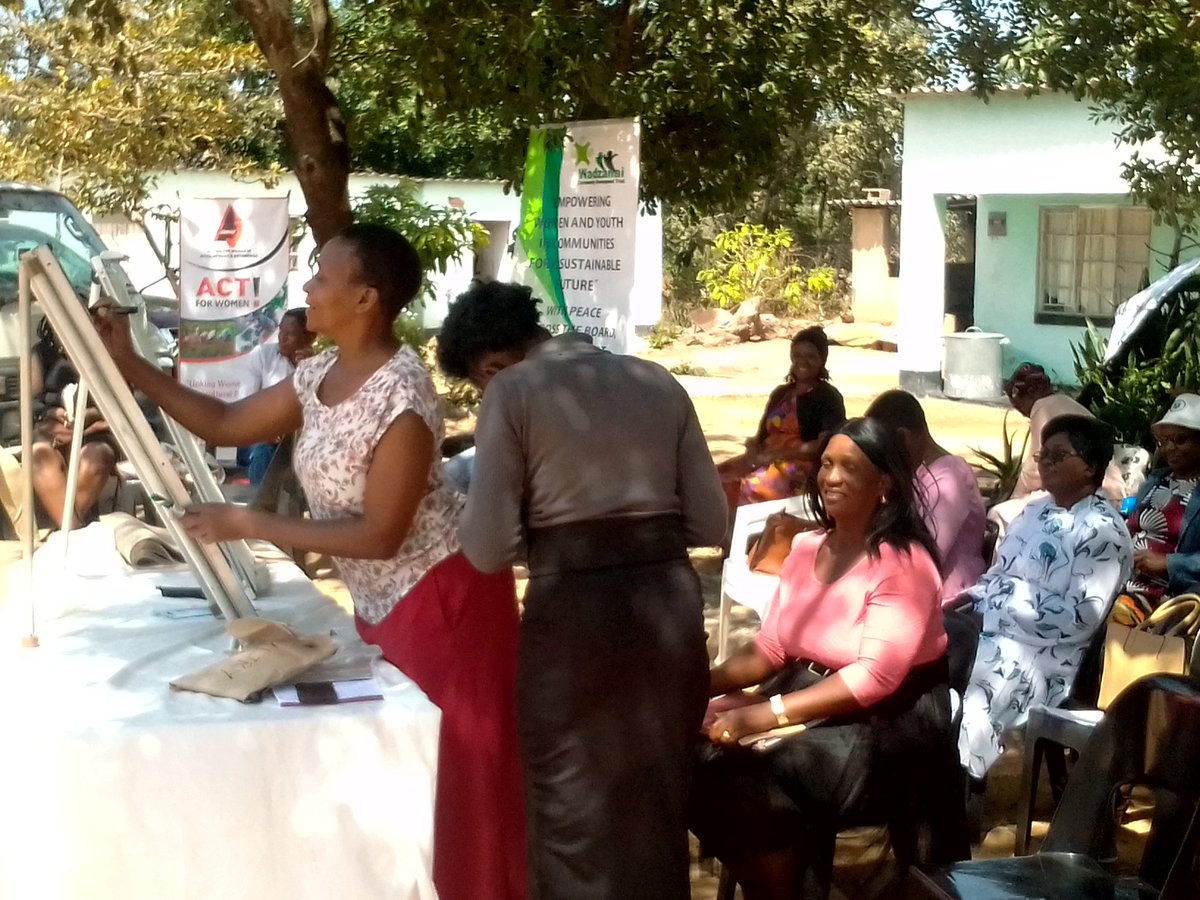 Act4WomenZW tweet media