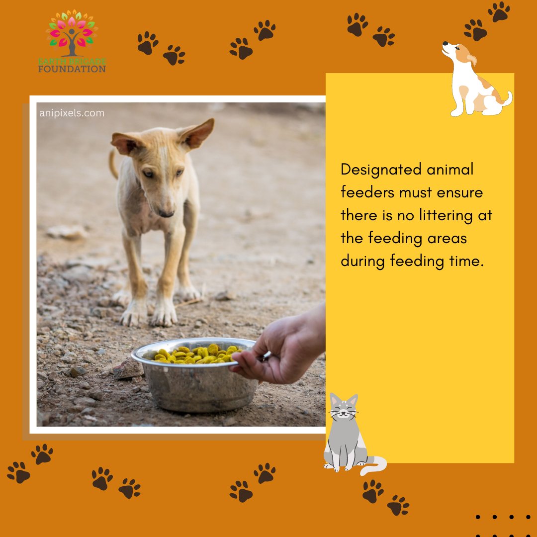 The Animal Birth Control Rules, 2023 define some guidelines that'll have animal lovers rejoicing!
#ABCRules2023 #AnimalWelfareIndia #CommunityAnimals #StreetAnimals #StrayDogsOfIndia #DogsOfIndia