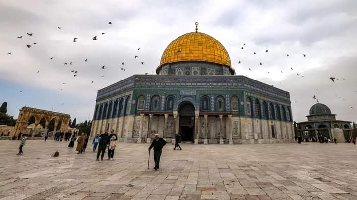 قلبي اللي مصري
بعطر القدس يتدفى
وانا اللي لاجئ ليك
في عروقي يا الأقصى
وانا اللي نازح ليكي يا القبة
 #الاقصى_يستغيث