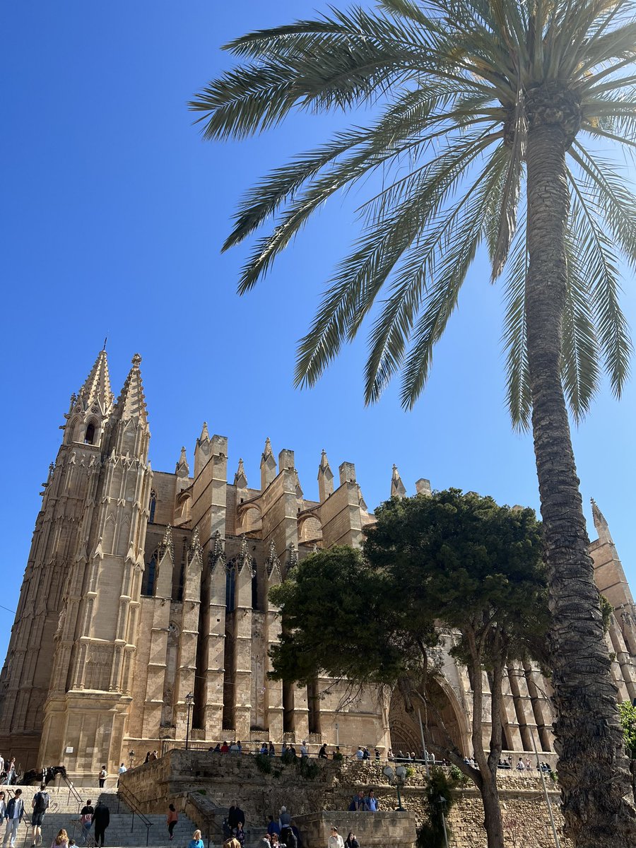 Woke up in Palma for my 25th Birthday 🌞