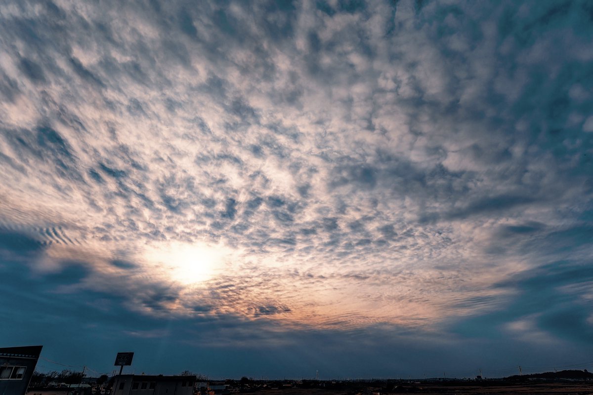 職場裏の夕暮れ空(*´꒳`*)気温が上がってきてうろこ雲みたいなのが広がっていてすごく綺麗だったにゃあ♪