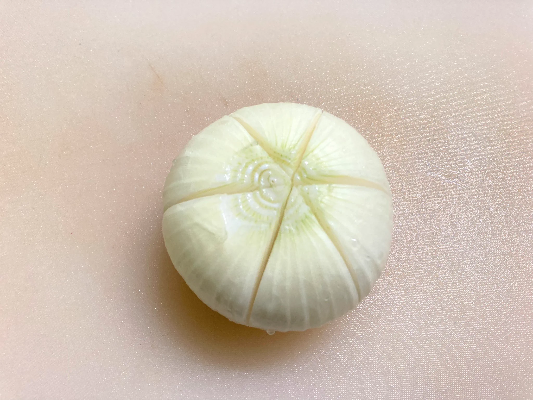 新玉ねぎ好きさん必見！新玉ねぎのとっても美味しそうな食べ方！