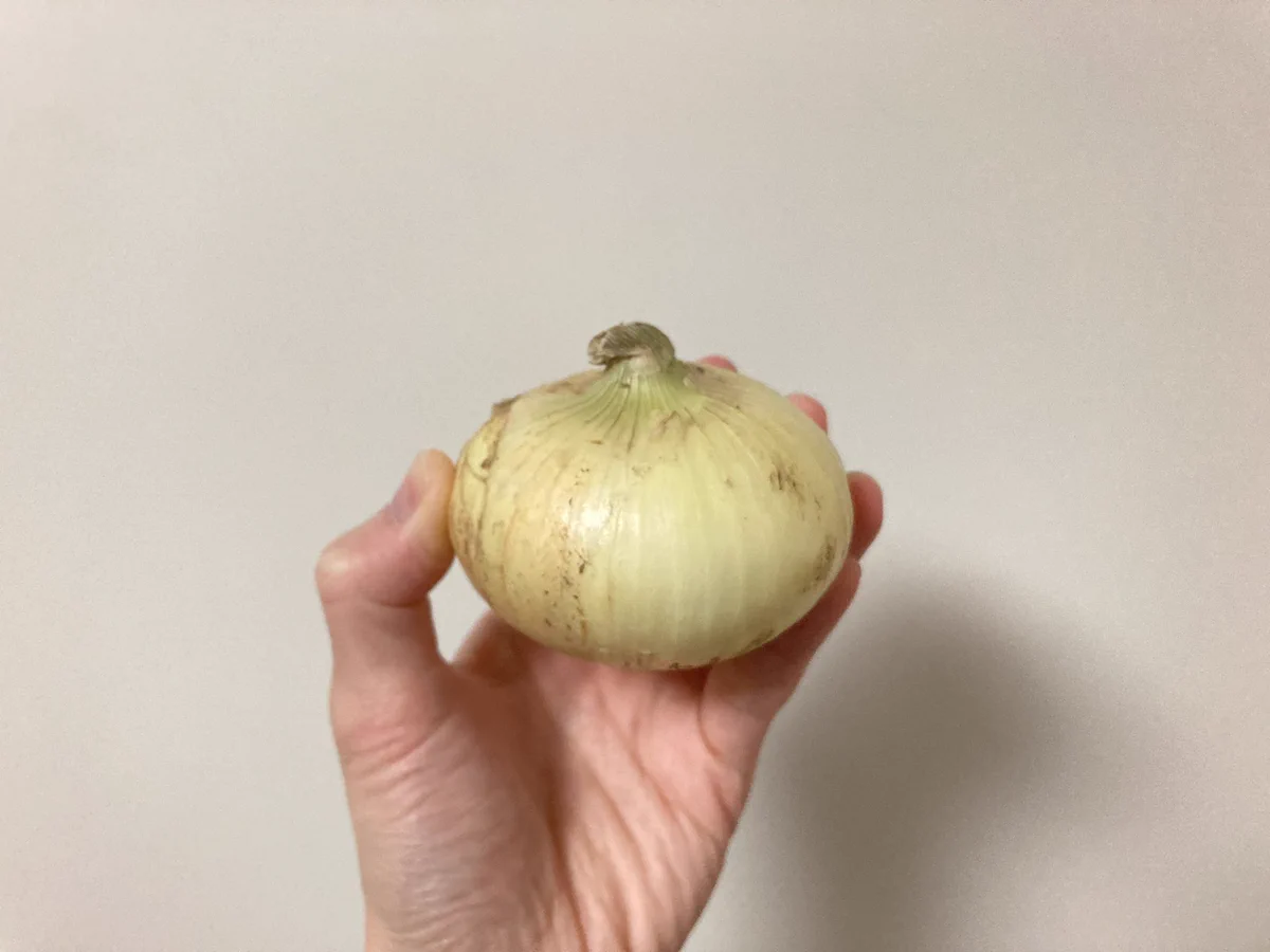 新玉ねぎ好きさん必見！新玉ねぎのとっても美味しそうな食べ方！