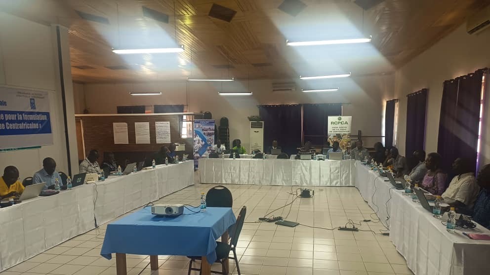 PNUD_RCA's tweet photo. 2024 : le Plan National Intérimaire de Développement #PNID fera suite au #RCPCA.
#HappeningNow ▶️les différentes parties prenantes en travaux pour l'élaboration des documents de base et la planification des étapes de la formulation du #PNID. @PNUD_RCA heureux d'appuyer. https://t.co/fK9m75U5XV