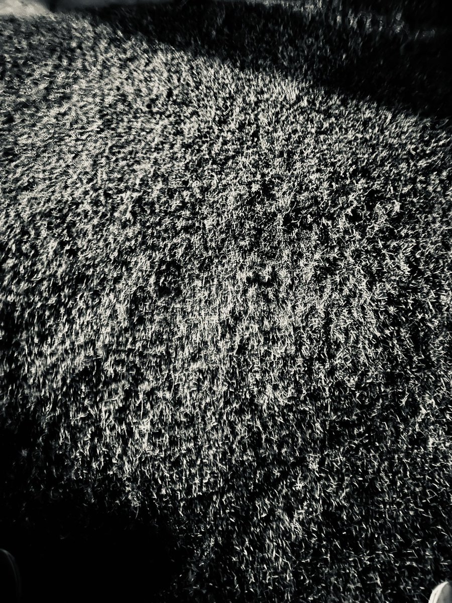 cjgent86's tweet photo. Today’s grass looks a lot like the same. But it’s different. Yet still mine. #0445club #DisciplineEqualsFreedom #muster016 @EchelonFront https://t.co/N3yIQ1ywi5
