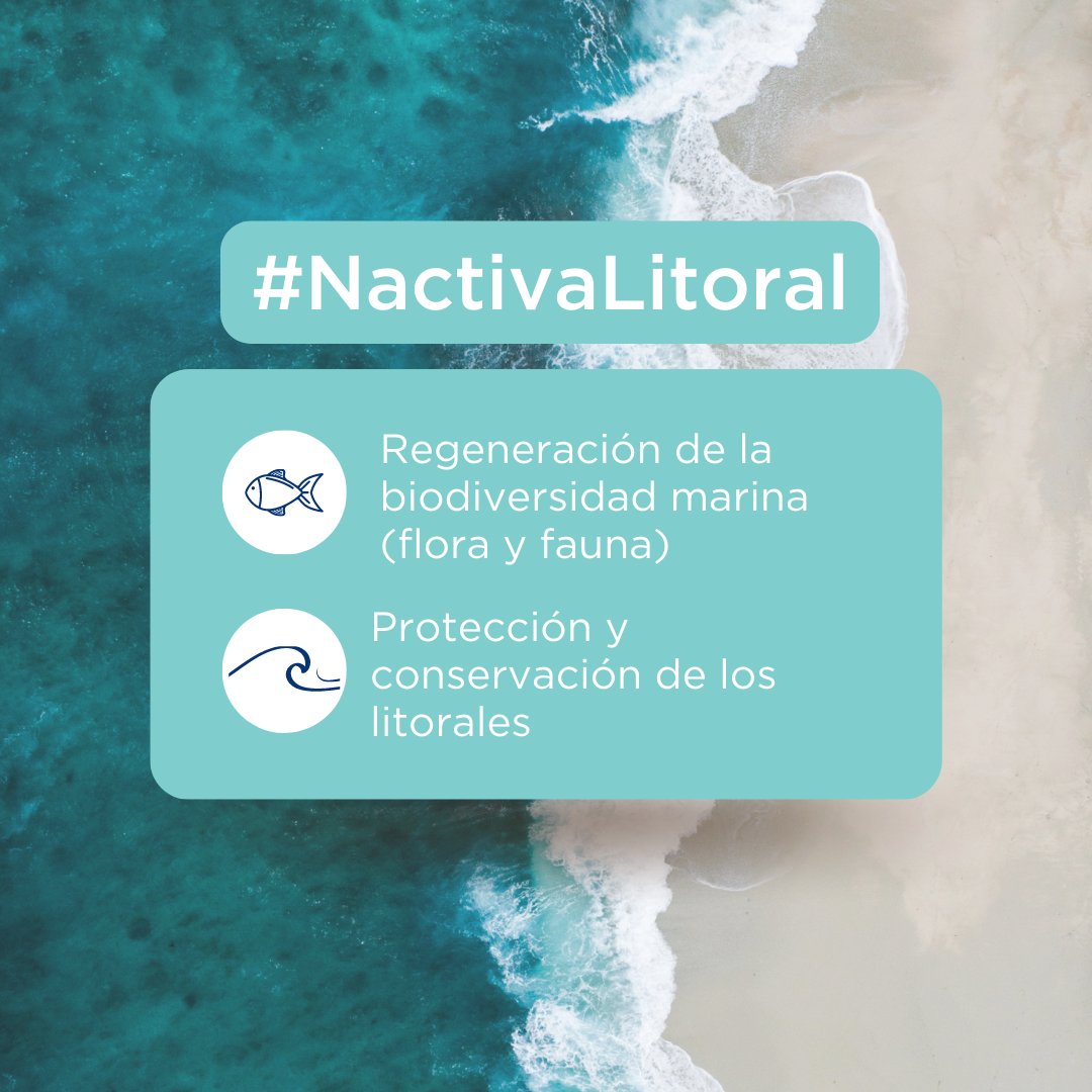 Nactiva_eco's tweet photo. 🌲💧🌱🗻 Te explicamos cómo trabajamos en #NACTIVA para cuidar del entorno natural. ¡Lo hacemos a través de cuatro áreas de actuación! https://t.co/ooSwkKy4on