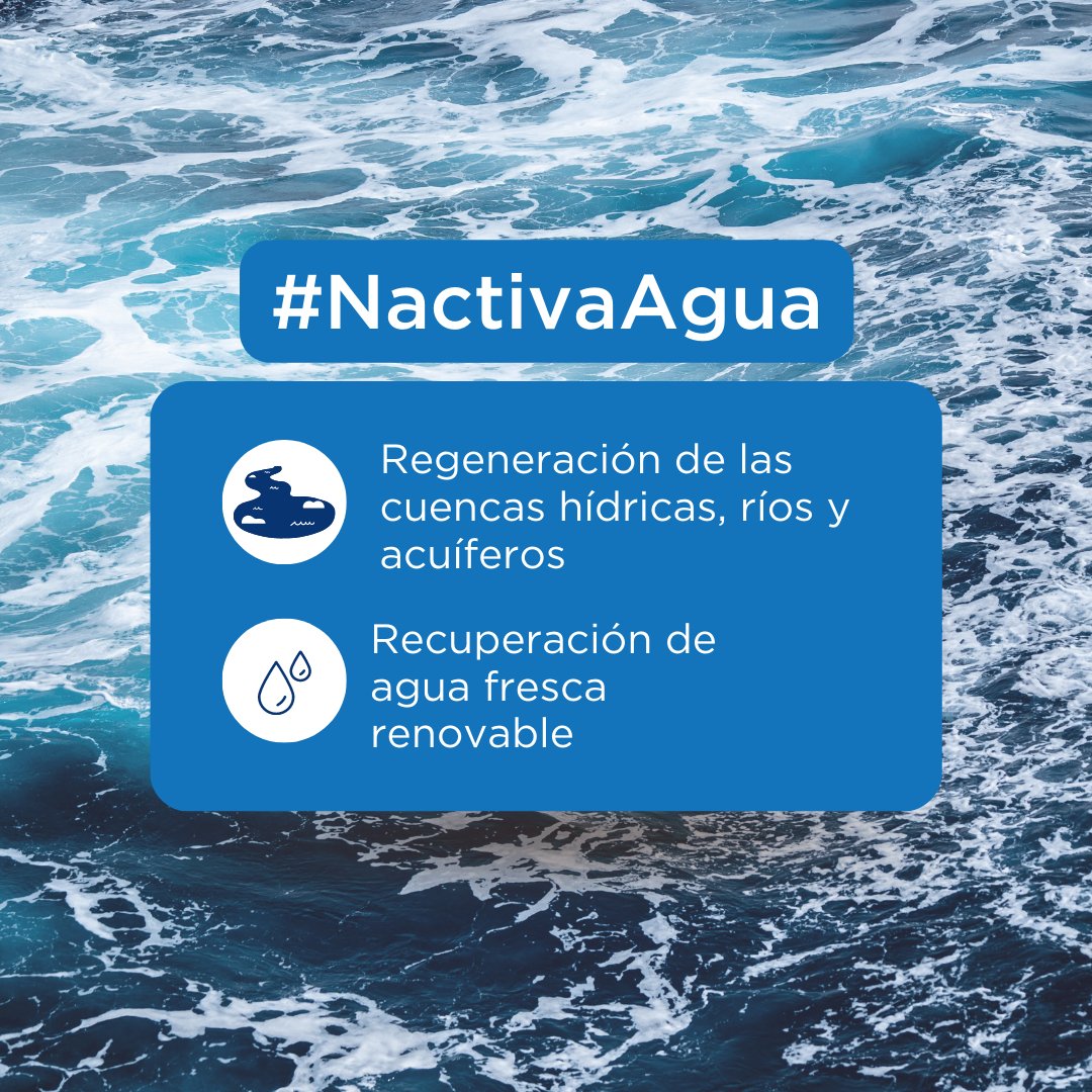 Nactiva_eco's tweet photo. 🌲💧🌱🗻 Te explicamos cómo trabajamos en #NACTIVA para cuidar del entorno natural. ¡Lo hacemos a través de cuatro áreas de actuación! https://t.co/ooSwkKy4on