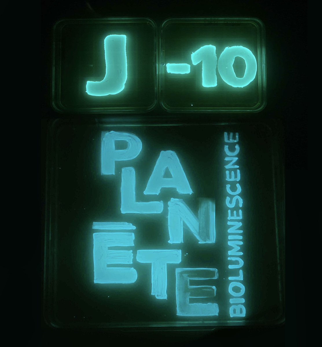 J-🔟 avant l’ouverture de l’expérience immersive Biolumia, Planète Bioluminescence ✨🌊🪐💙 Inscrivez-vous sur notre site pour avoir les infos en avant première 🤩 glowee.com 
#ilmersion #experience #innovation
