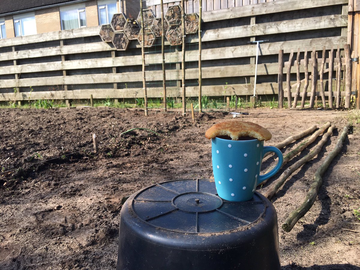 Groeneschoenen's tweet photo. De stellage voor de k(r)omkommers staat … Tijd voor een bakkie thee. #buurtmoestuin https://t.co/3ymybe6H04