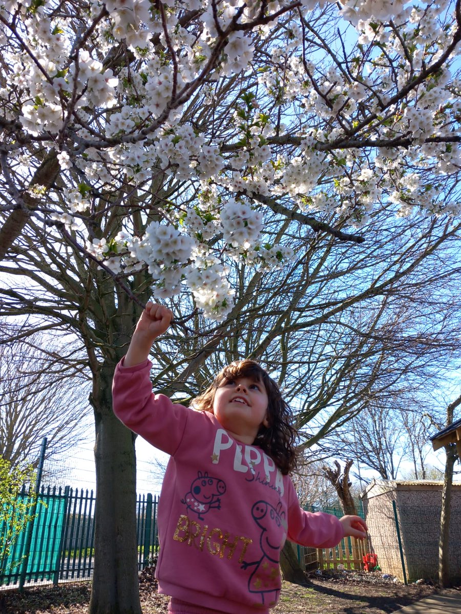 Springwell School Hartlepool tweet media