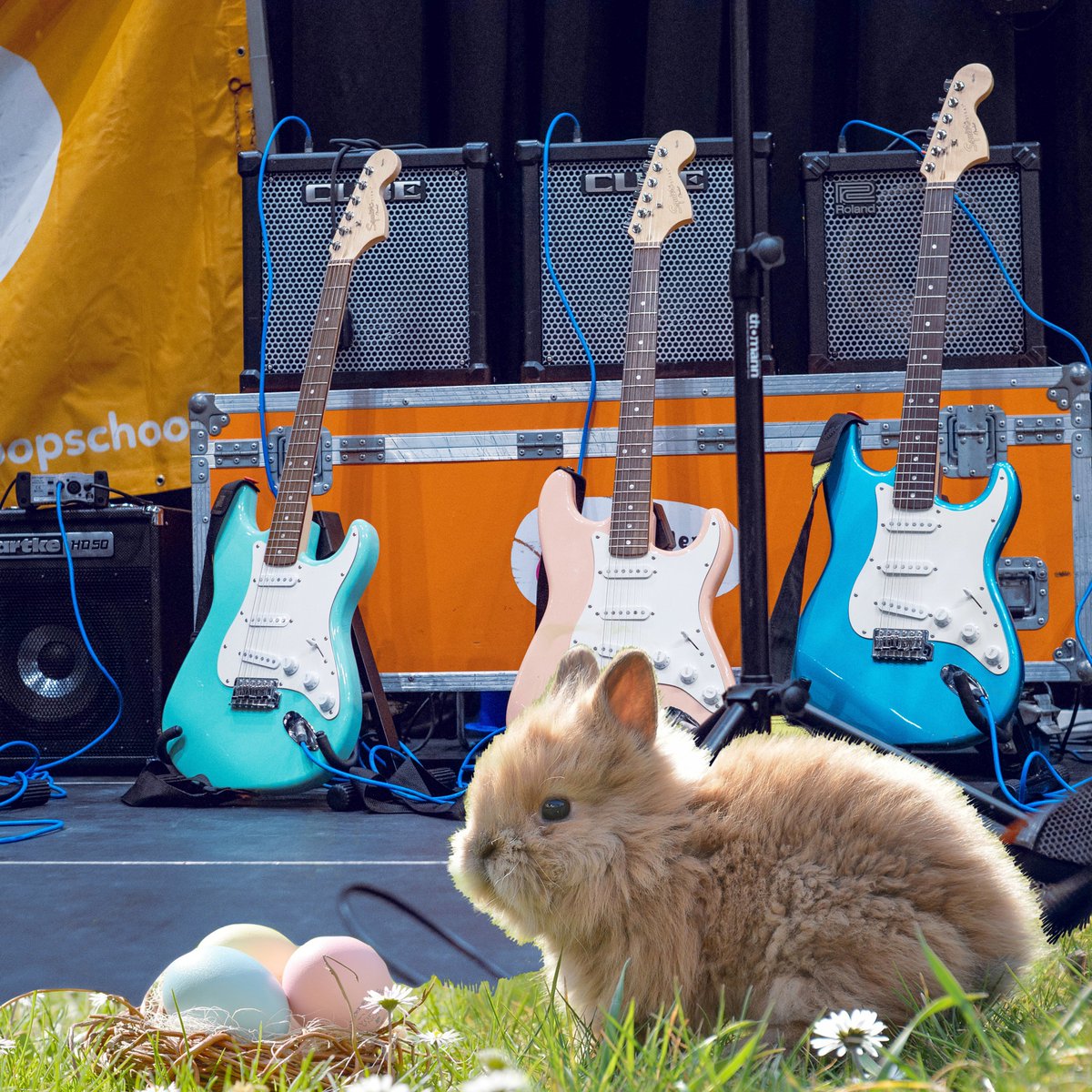 PRETTIGE PAASDAGEN🐣☀️🐰🐥