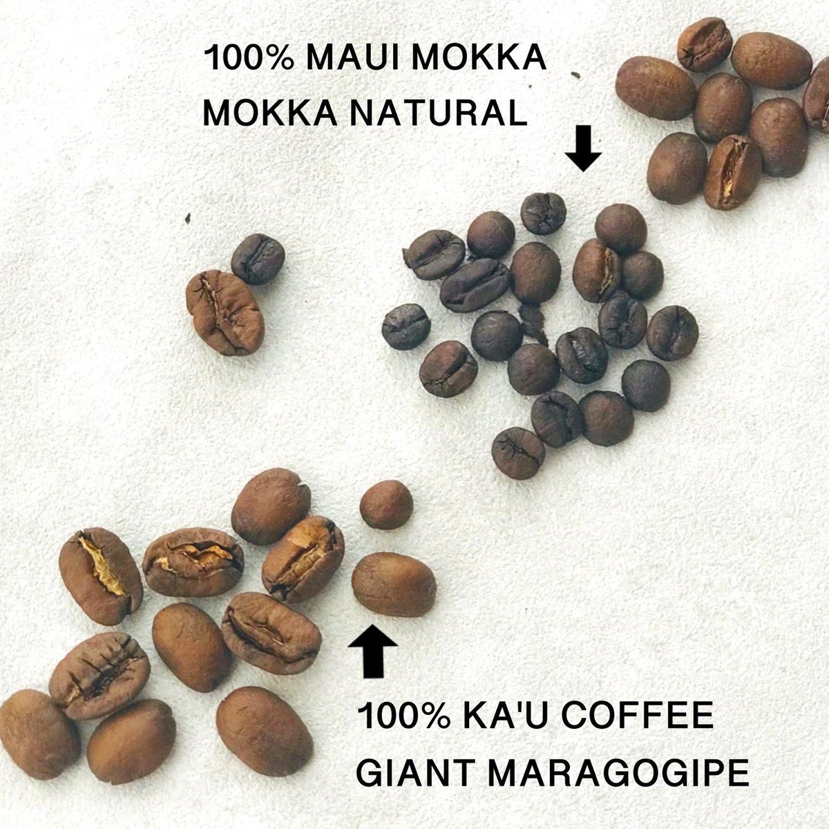 ALOHACOFFEELAB's tweet photo. コーヒー豆🫘は成分表示をちゃんと見ることから、美味しいコーヒーに出会えます。
#alohacoffeelab https://t.co/uxnRUJDHrU