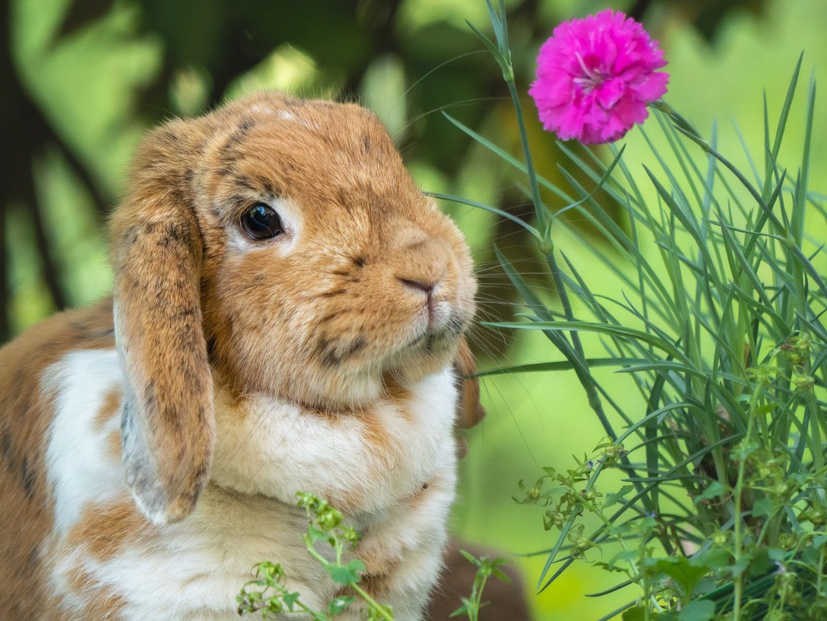 Unseren Kunden und Geschäftspartnern frohe Ostern und eine bunte - und hoffentlich erfolgreiche- Eiersuche 🐰🤗 #ostern #eiersuche