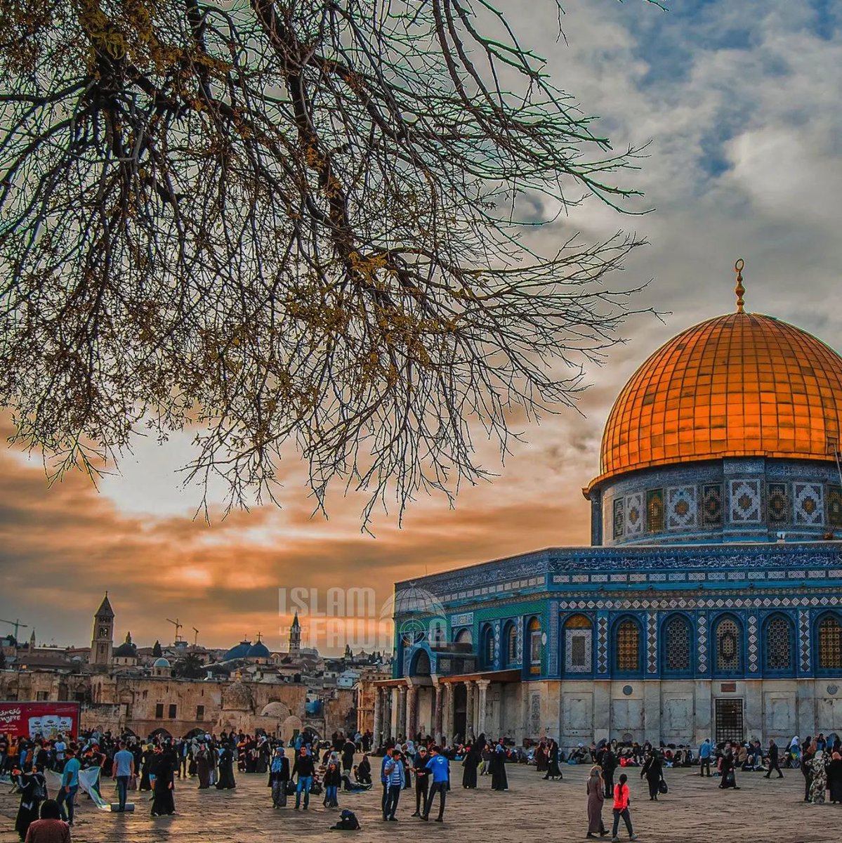 Bizler sıcak evlerimizde ne yiyicem derdine düşerken,dini için bedel ödeyen kadınlar var.
Kutsalı için,canını verenler var. Bizler bitmek bilmez uykudayken kinini bileyenler var. Din Allah'ın evet !mekan O'nun evet!Peki biz kulluğumuzu nasıl ikame edicez?

#KudüseSahipÇık