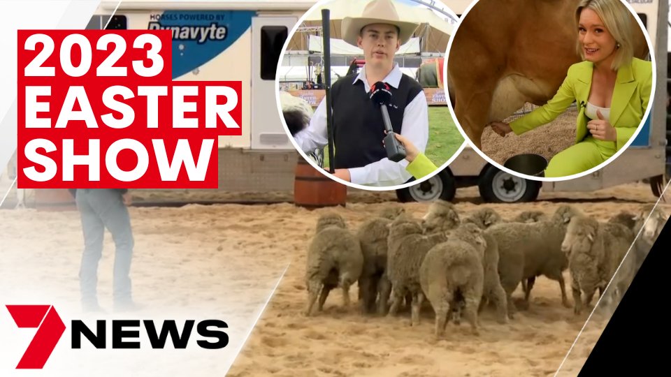 7NewsCanberra's tweet image. It's less than 24 hours until the gates open at Sydney's Royal @eastershow for another year of food - fun, and of course farmers. From the old favourites to the new additions, this year promises to be one of the biggest and best ever. youtu.be/w0JNpI10PUI 
#EasterShow #7NEWS