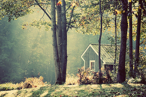 nordicwebdesign's tweet photo. Morning Light, Forest Cottage, New Hampshire #MorningLight #ForestCottage #NewHampshire https://t.co/VgiOI0NHCU https://t.co/aizzNlseSr