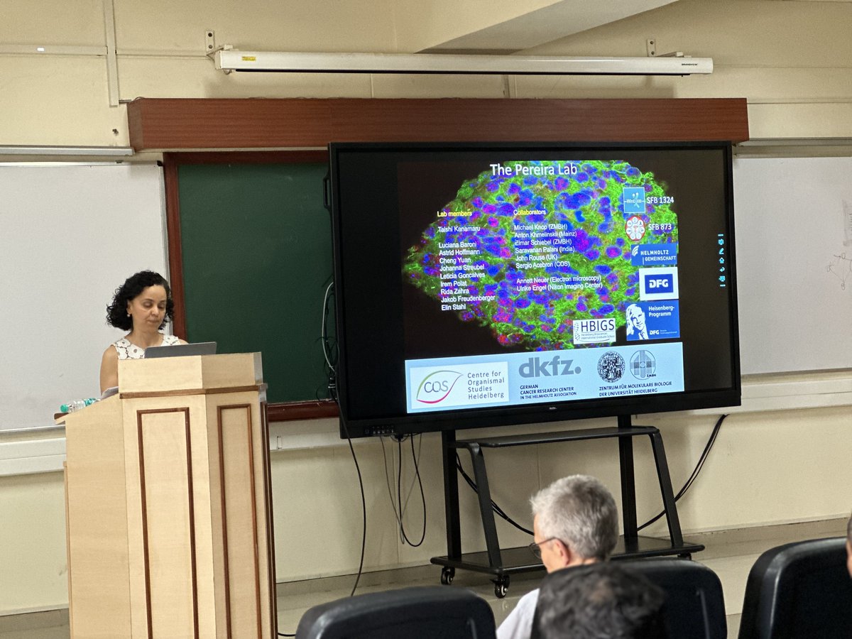 Brilliant talk by Prof Dr Gislene Pereira from COS Heidelberg (@COSHeidelberg) about role of septins in cilium biogenesis and length control