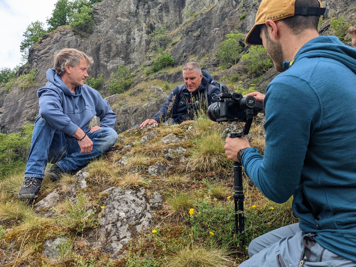 Aden Productions tweet media