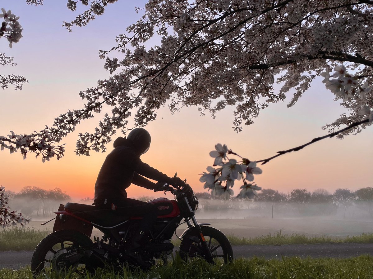 #バイクに跨った写真を貼れ見た人もやる
#ducatiscrambler #scramblerducati
#Sixty2 #ducatiscramblersixty2