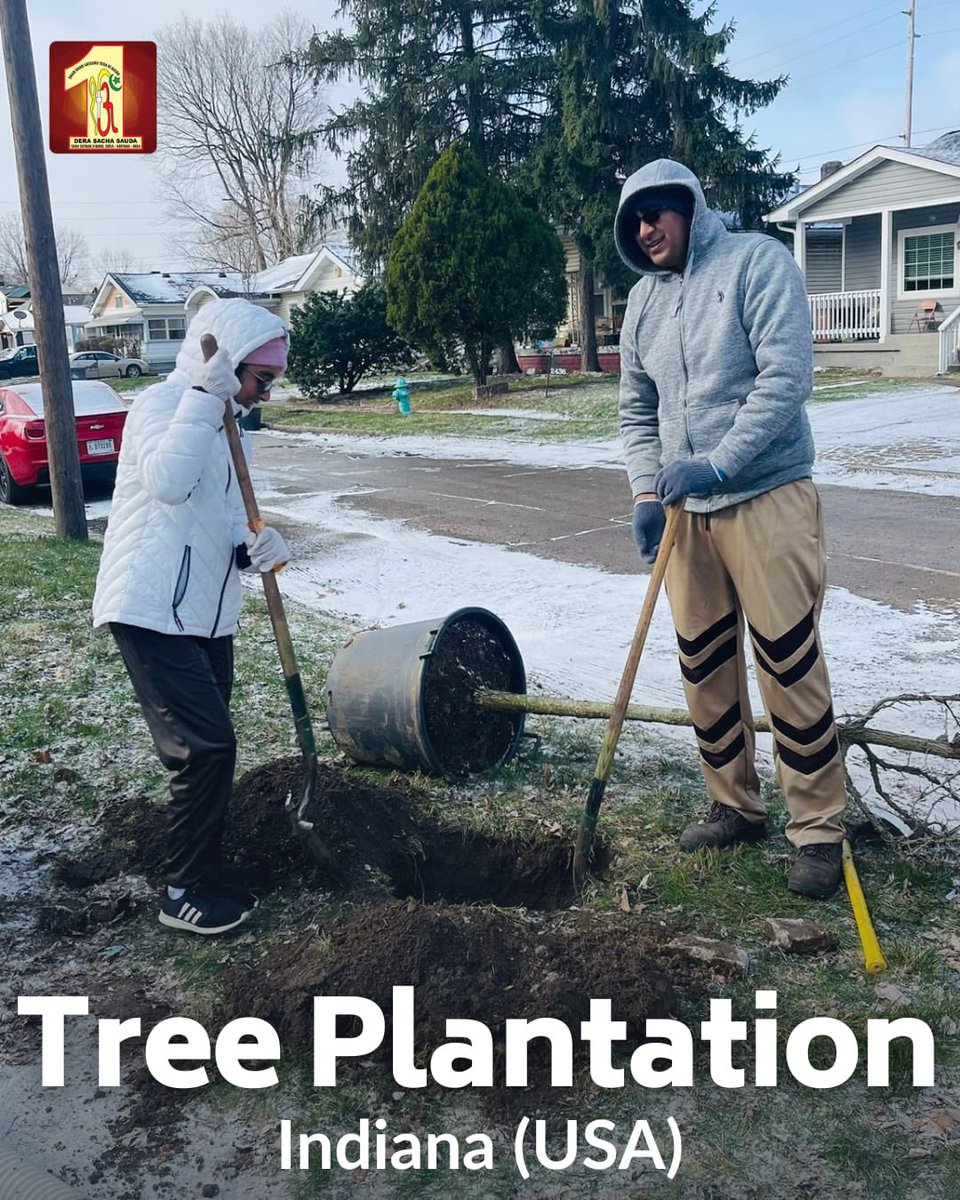DSSNewsUpdates's tweet photo. Every tree planted is a commitment to the future. Join hands with #DeraSachaSauda volunteers who plant trees and leave a legacy of sustainability for generations to come with the inspiration of Saint Dr. @GurmeetRamRahim Singh Ji Insan.
#TreePlantation https://t.co/4vmfLBQcdm