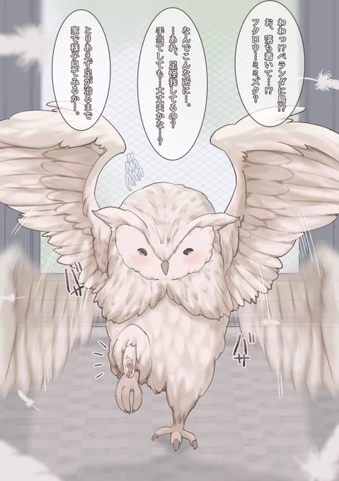 保護したミミズクが女の子になっちゃった話 ① https://t.co/pDrme47NGi