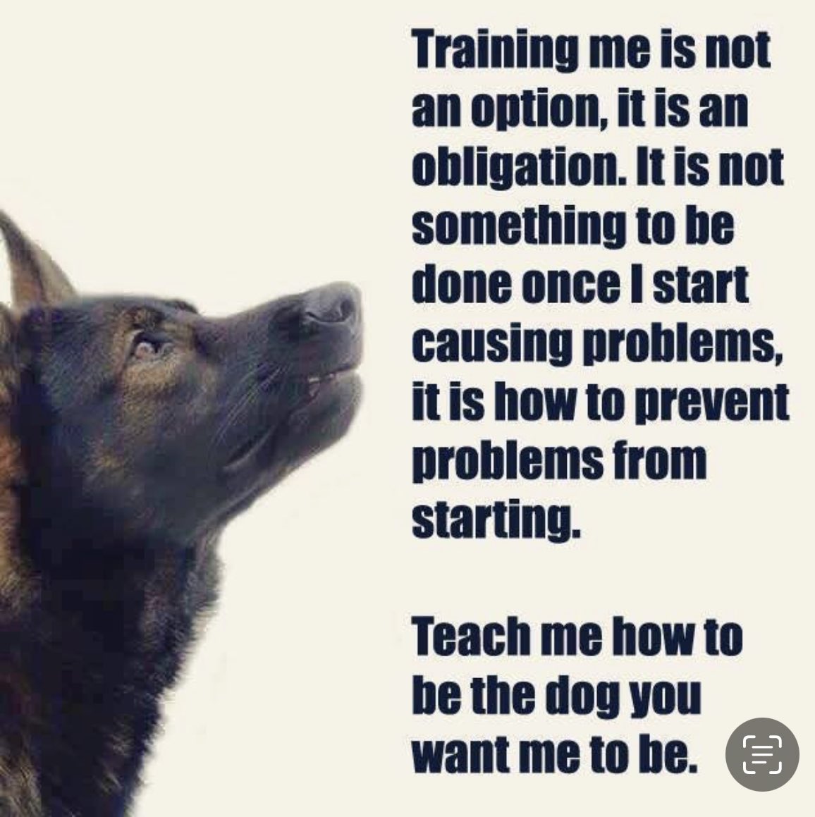 Drug Dog Fletcher (Ret'd) (@dddfletcher) on Twitter photo 