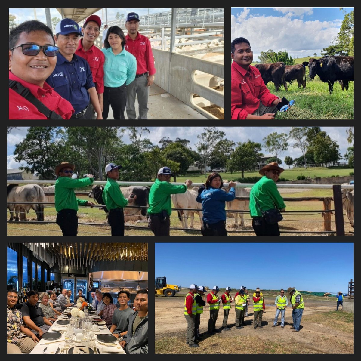 PT_JJAA's tweet photo. Bulan lalu,
7 orang tim JJAA terbang ke Australia utk studi banding selama 10 hari ttg feedlot &amp; industri peternakan di sana. 

Berbagai hal baru, wawasan, &amp; pengalaman baru dirasakan oleh tim JJAA selama disana. Seru dan menegangkan! 
Tahukah kenapa?

#JJAA #AustralianFeedlot https://t.co/cLkJ7ERs2G