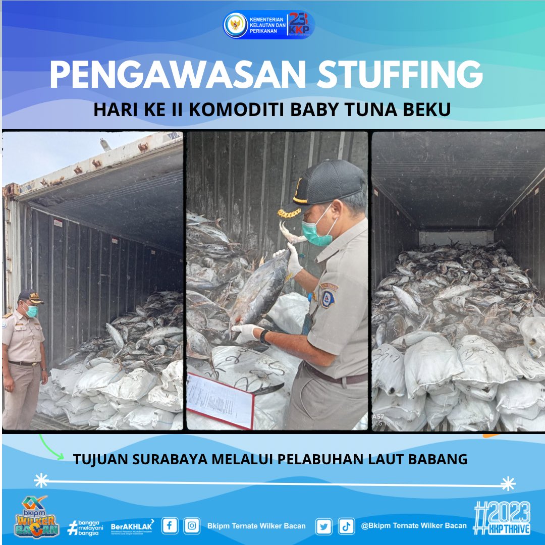 wilkerbacan's tweet photo. 05/04/23 #OneHealthKIPM Giat pengawasan Stuffing hari ke II Komoditi Tuna Beku diare pelabuhan Laut Babang tujuan Surabaya via KM. Bahar Mas #KKPThrive @kkpgoid @bkipm_kkp @BuTariPmk @BKIPMTernate @arsal_azis @Ambodallemardia @UHardianto @Naidil_yahya28 @AliNazarudin https://t.co/0ibNJTXDwp
