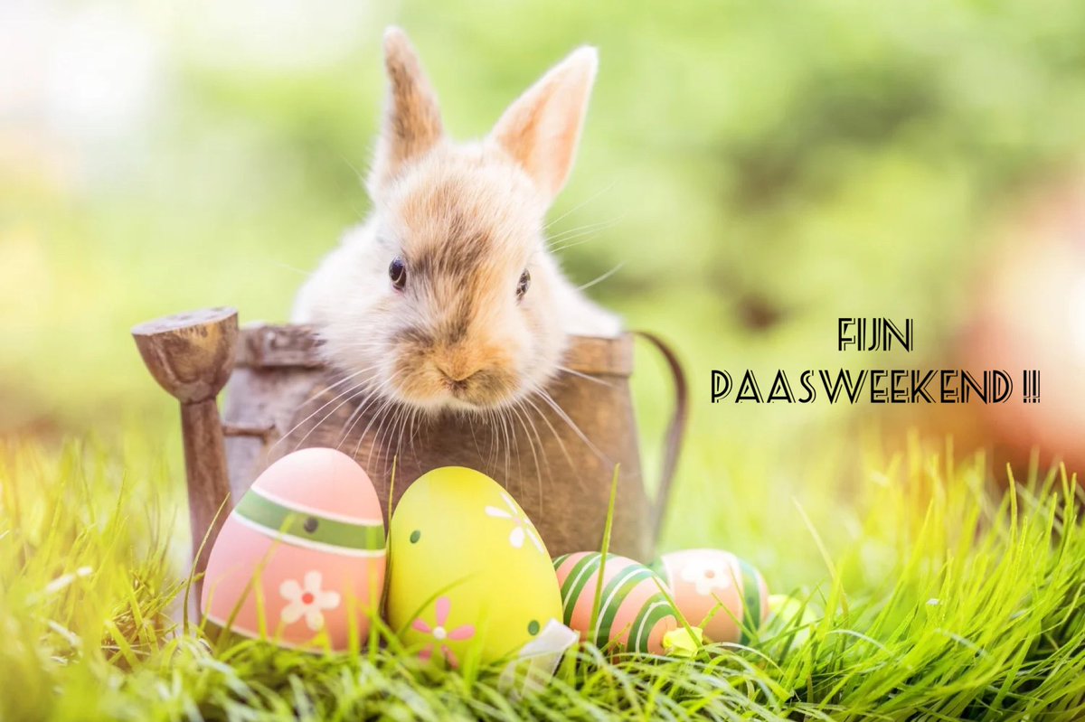 Holst Dakbedekkingen tweet media