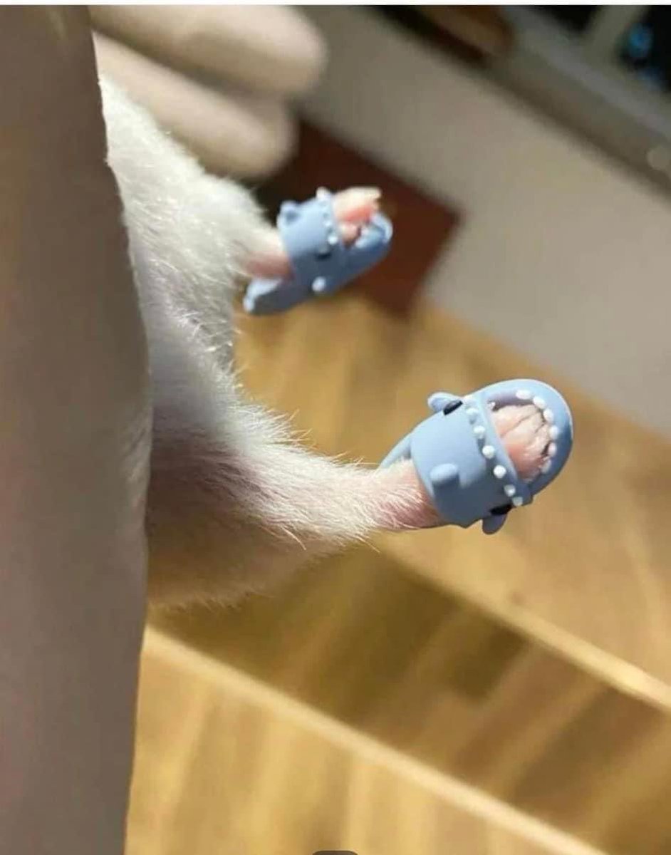 Weather’s Warming up: Summer Shoes on!