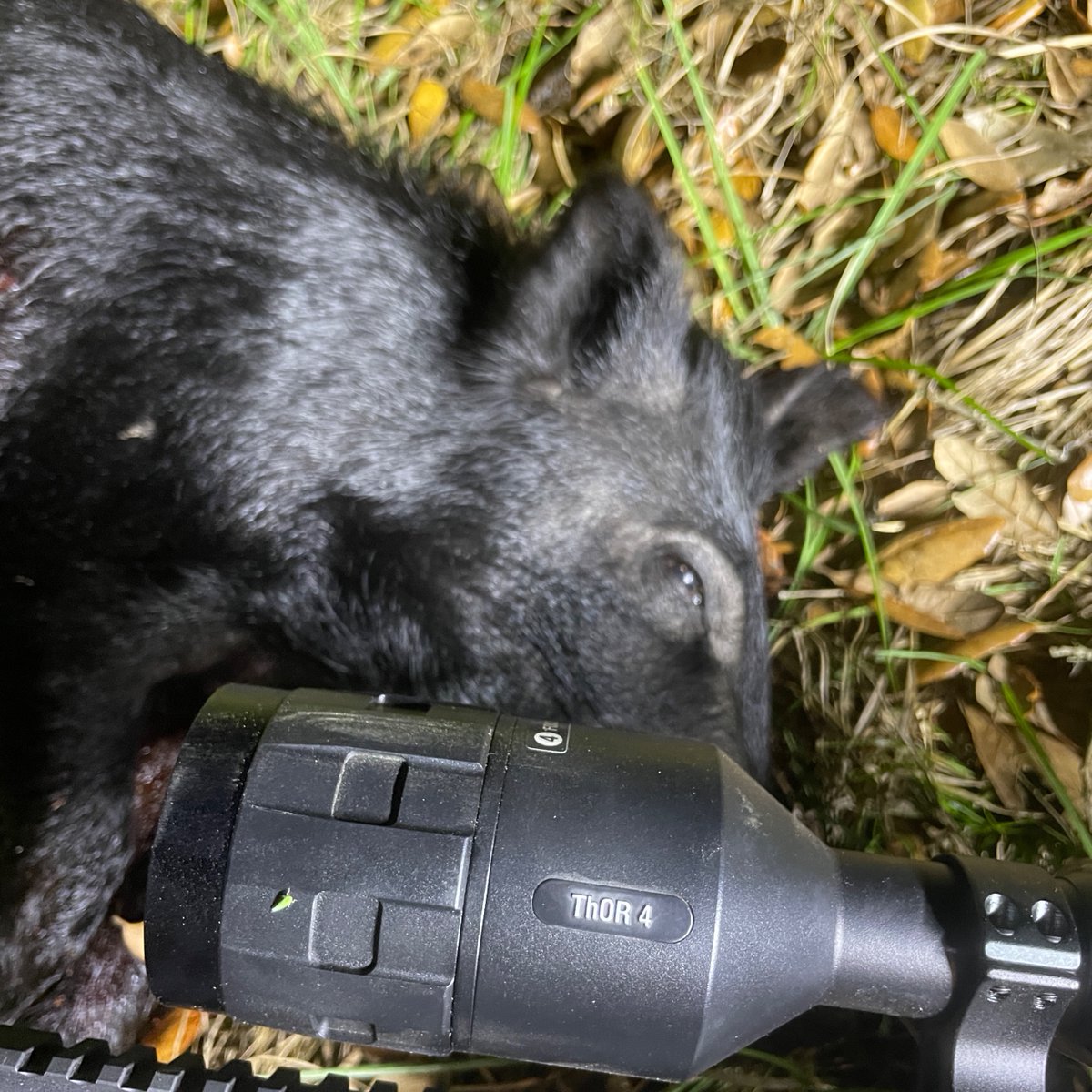 How many of you use thermal or night vision for predators or pigs?

#everythingeichler #fulldrawoutfitters  #itsalifestyle #itsinmynature #thefutureofoptics #hunting  #outside #whatgetsyououtside #thor4 #nightvision #bethepredator #thermalvision 

@ATN_NightVision