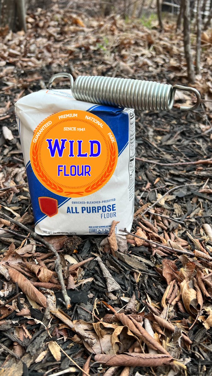 Mammoth Cave NP tweet media