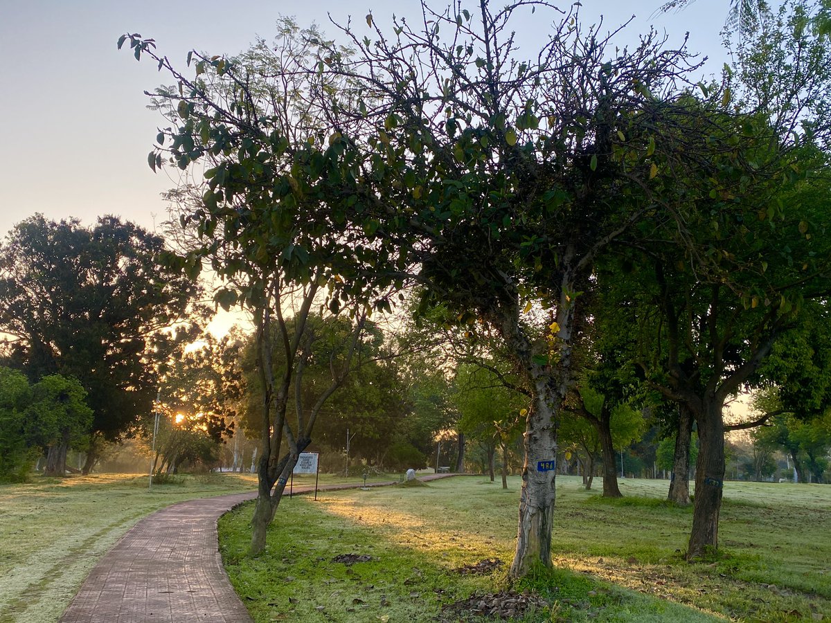 kanwarrajput's tweet photo. Golden rays, on leaves they dance,ย
Awakening nature in a blissful trance.ย
Blossoms unfurl, in hues so bright,ย
Birds serenade, in sheer delight.
Gentle warmth kisses, the Earth's embrace,ย
A spring morning's beauty, a timeless grace.ย
#SpringBreak #SpringMornings #Nature https://t.co/hM3rCiPwVz
