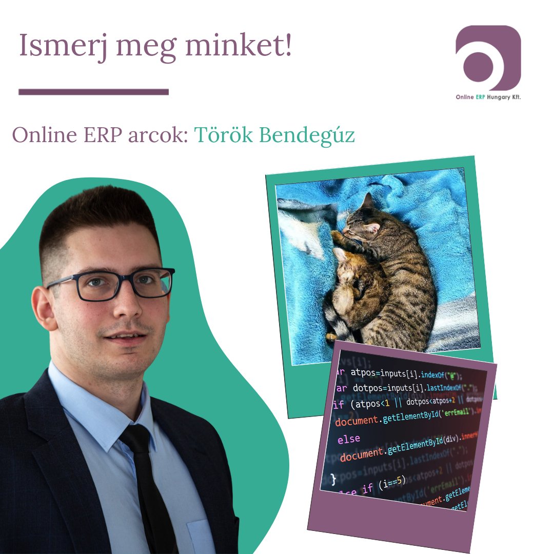 OnlineOdoo's tweet photo. Bendegúznak junior Odoo szaktanácsadóként a munkakörébe tartozik a hozzá rendelt ügyfelekkel való napi szintű kapcsolattartás. Kellő tudást és támogatást biztosít számukra. Programozói végzettséggel rendelkezik, imádja a cicákat és minden cicás mémet🐱 https://t.co/DI9bUyHjEL