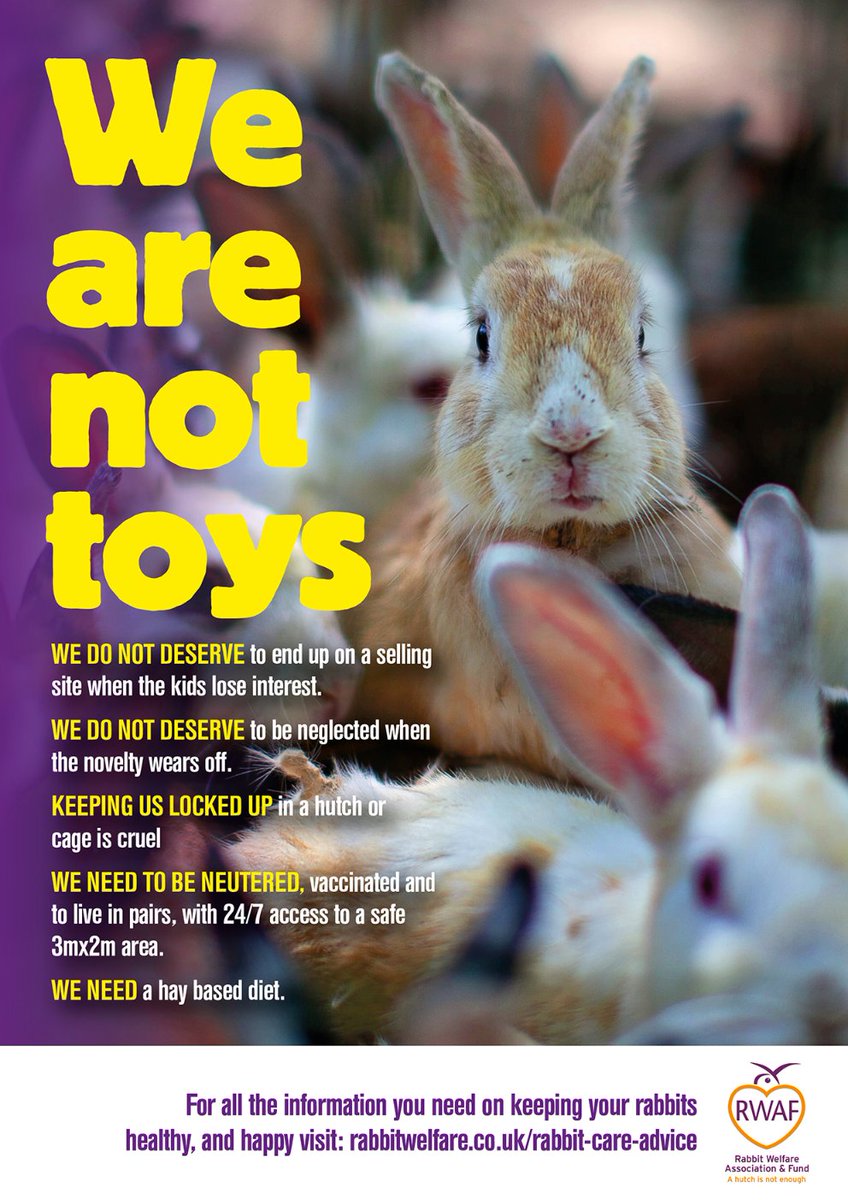 RabbitRWAF's tweet photo. PLEASE DO NOT GIVE RABBITS AS EASTER GIFTS! 🙅🎁🐇

We cannot have any more rabbits abandoned at rescue centres when the holiday is over because a ‘whimsical’ Easter gift has become too costly or a burden.

Rabbits are a 10-year commitment, not just for Easter. https://t.co/CJ7scHgv4x