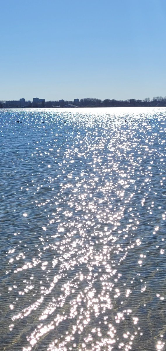 HappyNesselande's tweet photo. #zevendehemelseplas https://t.co/CXZPquVBOY