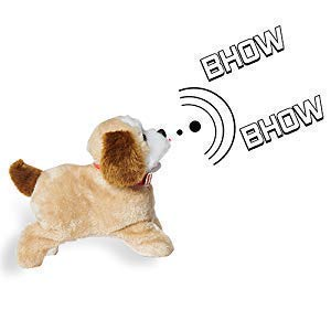 RathiDipika's tweet photo. Will this mean we won't be tweeting any more but barking / bhowbhowing? I'm excited to see how media will cover politicians, celebs and other artistes barking! Oh, love it how @elonmusk manages to keep it interesting and makes sure change is the only constant #doge #TwitterLogo https://t.co/C1Ar0x2Kiv