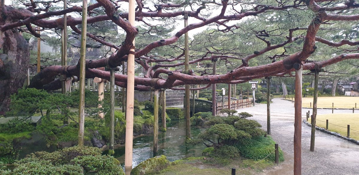 bambraagrofor's tweet photo. There is more to creating a culture of tree growing than planting trees.

Photo from our visit to Japan organised by Global Landcare 

Rowan Reid 
Originator of the Australian Master TreeGrower 
Co-founder of the Otway Agroforestry Network 
Owner of Bambra Agroforestry Farm https://t.co/Xle0bQB4bw