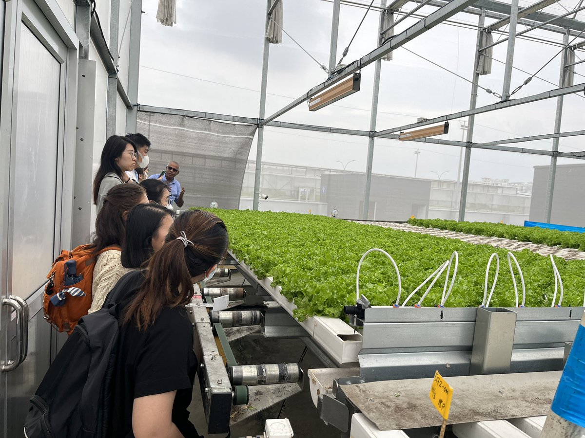 Maxine Mowe (@maxinemowe) on Twitter photo Todayās guest lecture was by Prof Veerasekaran! The students learnt so much from him and also visited two farms (GKE and ComCrop) with his guidance! #foodsecurity #bl5313 #urbanfarming <a href="/MBCNCS/">NUS MBCNCS</a> Todayās guest lecture was by Prof Veerasekaran! The students learnt so much from him and also visited two farms (GKE and ComCrop) with his guidance! #foodsecurity #bl5313 #urbanfarming <a href="/MBCNCS/">NUS MBCNCS</a>