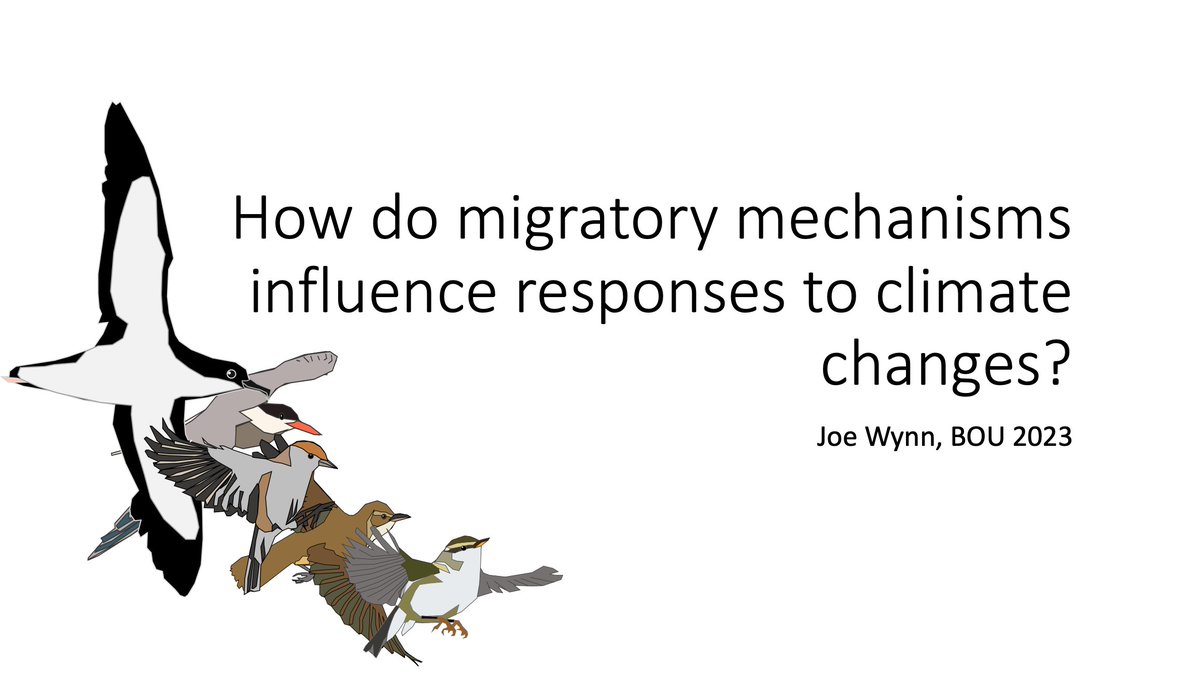 #BOU2023 #Sesh2 1/15 Heya guys! Thanks for (virtually!) coming to coming to my talk. Sorry you can't see it in person, hopefully this is better than nothing! A lot of my work on this isn’t published yet, so can’t be included here, but hopefully you’ll get a flavour for the topic.