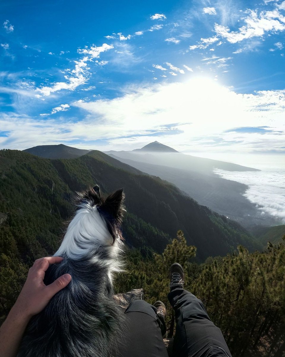 🙍‍♂️ + 🐕 = exploration time! 🗺 Who’s your favourite adventure partner? 📸 : igna.ferriol (IG) @GoProES #Spain #Tenerife #DogsOfInstagram #GoProPets #POV #Dog