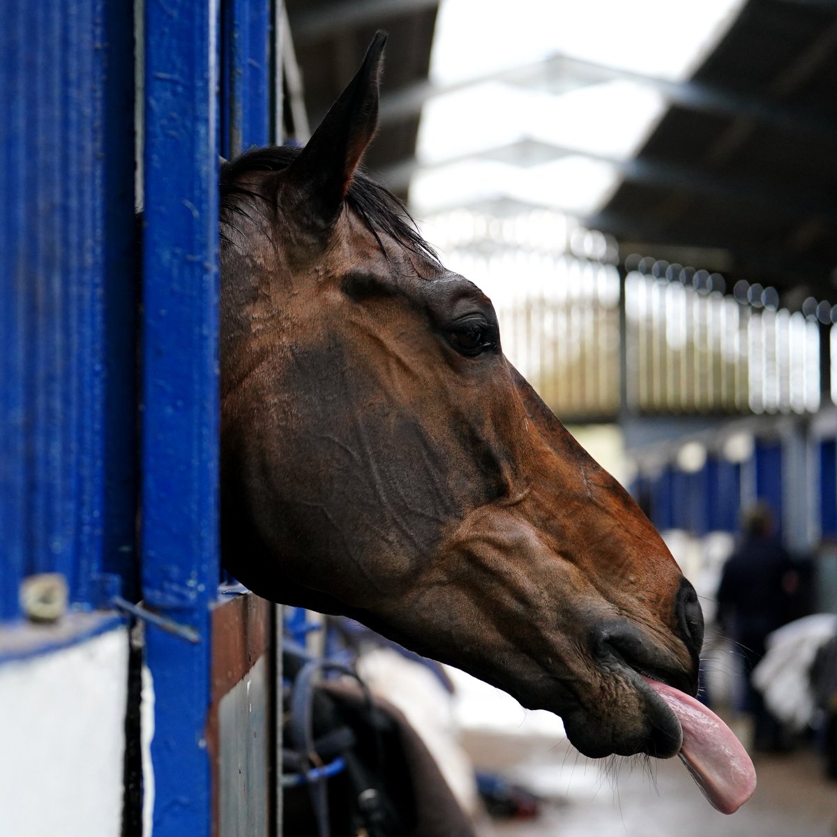 itvracing tweet picture