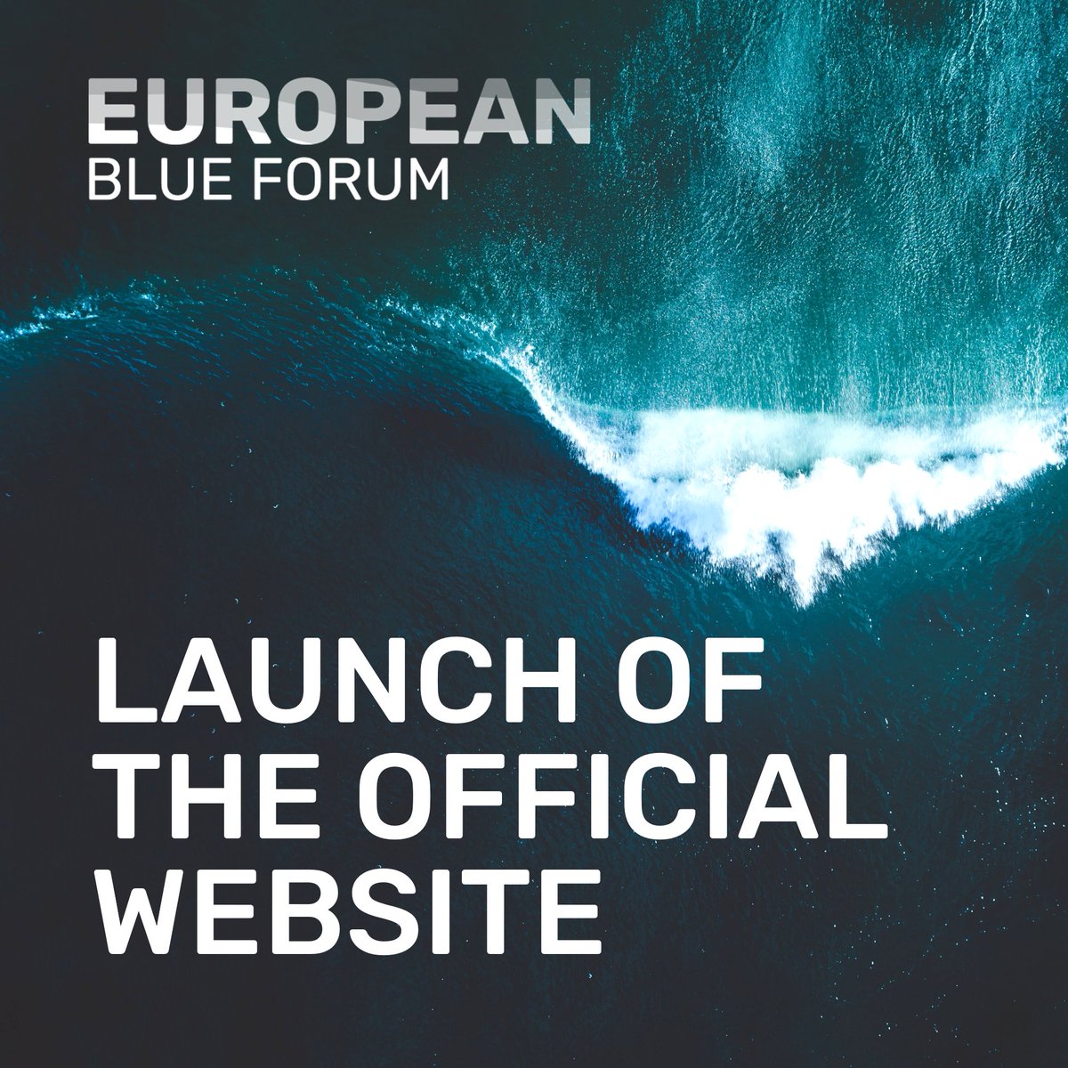 EU_MSP_Platform's tweet photo. 📢The #EuropeanBlueForum website is now officially available ! 👏 All you need to know about the European Blue Forum, its objectives and how to participate is here 👉https://t.co/OPfxwpeZQx
Stay tuned for more information soon ... 📻
@cinea_eu @EU_MARE #EMFAF https://t.co/IfacDYO6Y6