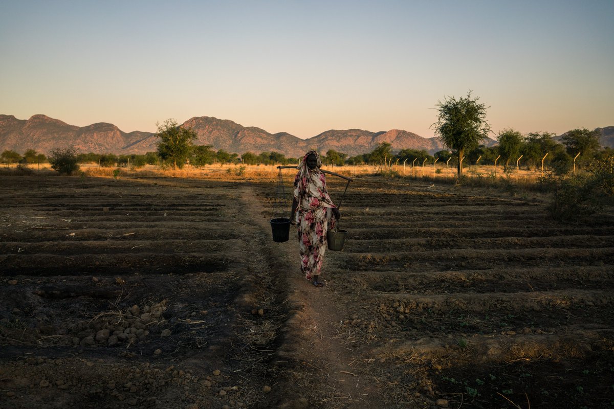 FCDOGender's tweet photo. 🧵Conflict, crises and climate change are contributing to rising food and nutrition insecurity.

Women and girls are at heightened risk of experiencing hunger and violations of their rights, including gender-based violence (GBV). 1/3 https://t.co/eHREIztEiC