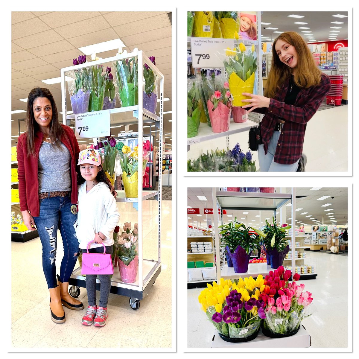 rpatelarise's tweet photo. Target 🎯 Store #2415
Canton South, Mi
Spring is in the air at our 🎯 store
🌷🌷🌷!
We have beautiful fresh flowers and plants 🪴🪴🪴 for your home at affordable price!
#targetrun🎯
#place2be
#targetrocks🎯 https://t.co/ZxfBqlrGGJ