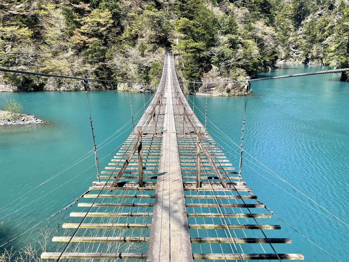 Volty_0025's tweet photo. 静岡ツーリング！

箱根ターンパイクで桜の絨毯を堪能
夢のつり橋と両国吊橋を満喫
さわやかでげんこつハンバーグをいただきました
閉店した喫茶飛行場にも行ったのですが更地になっていました、残念…
浜名湖大橋を渡って浜松グラウンドゴルフガーデンのDC-3をみてきました！🛫

走行距離600km https://t.co/4Jitahckro